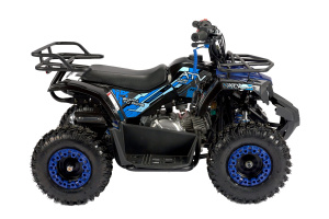 Детский квадроцикл Avantis ATV Classic mini 4T