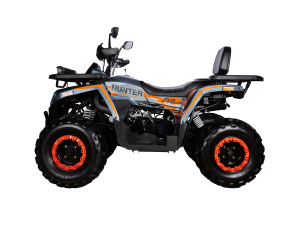 Квадроцикл Avantis H250 BIG NEW Lux (баланс. вал) 2025 (250 см3)