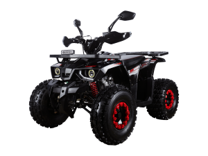Квалроцикл Avantis Hunter 8 New Premium (2024)