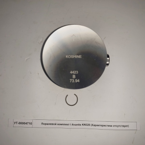 Поршневой комплект 73,94 Avantis KN320