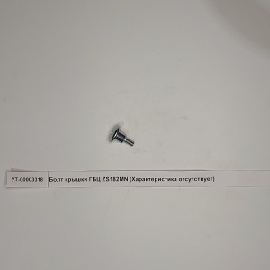 Болт крышки ГБЦ ZS182MN