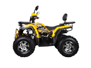 Квадроцикл Avantis AURA 200 Premium